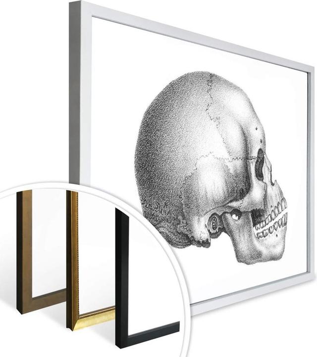 Actual product image Trenddeko Skull 02 (60 x 50 cm)