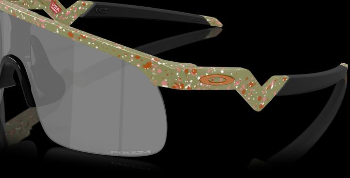 Immagine prodotto Oakley Resistor (FERRO TERRAZZO)