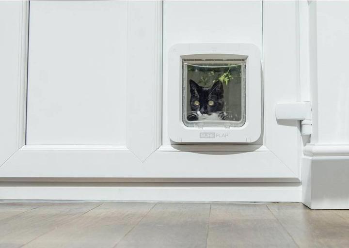 Immagine prodotto SureFlap Collegati a (Zampa per gatti con microchip)