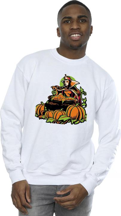 Image du produit Disney - Sweat - Homme (S)