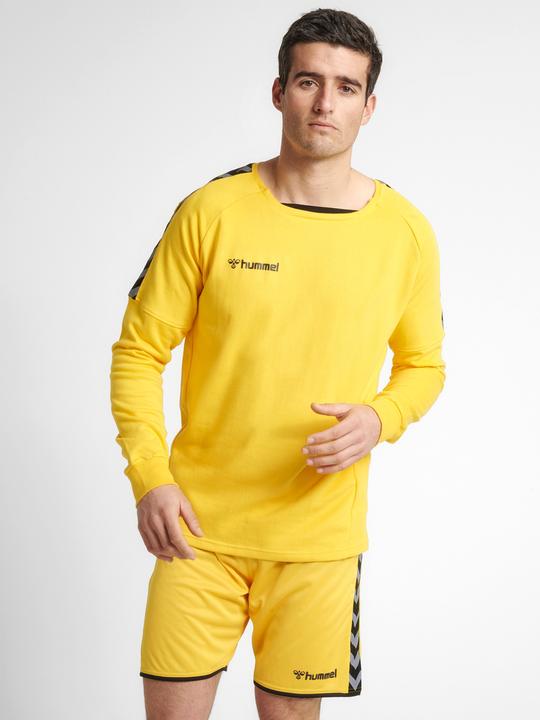 Image du produit hummel Sweat D'Entraînement Authentique (M)