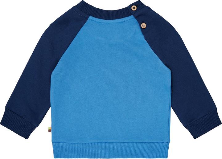 Immagine prodotto loud + proud Felpa con maniche raglan (62)