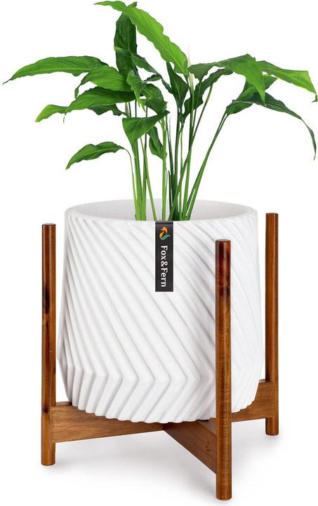 Actual product image Fox & Fern Plant Stand Acacia XL