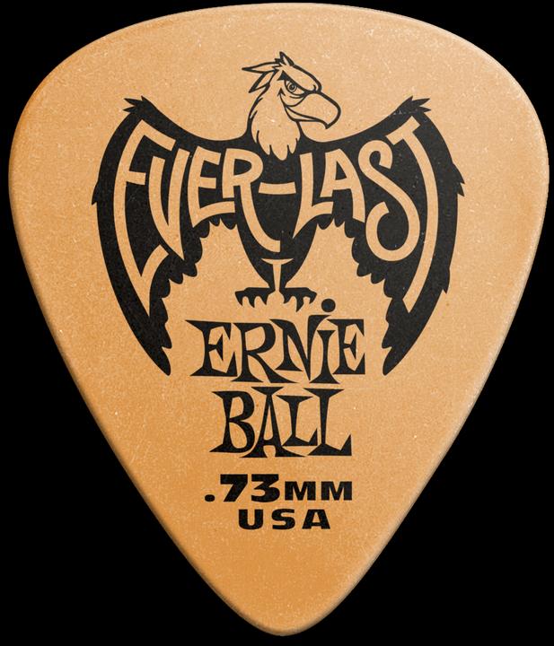Produktbild Ernie Ball Everlast (12 x, 0.73 mm)