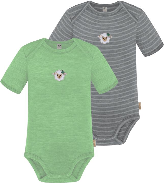 Vert/gris
