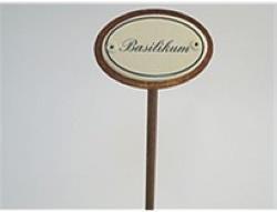 Plants d'épices au basilic (25 cm)