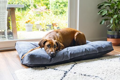 Image du produit Beeztees Coussin de couchage Orthopedic Veo (Chien)