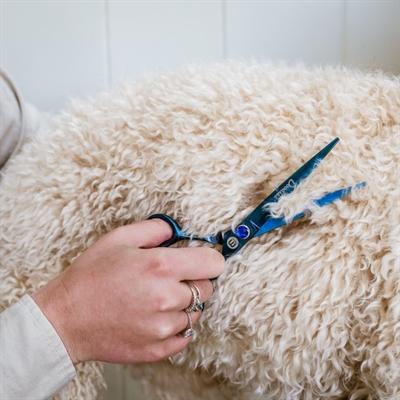 Image du produit Mikki Doodle Schaar droit - 18 Cm (Chien)