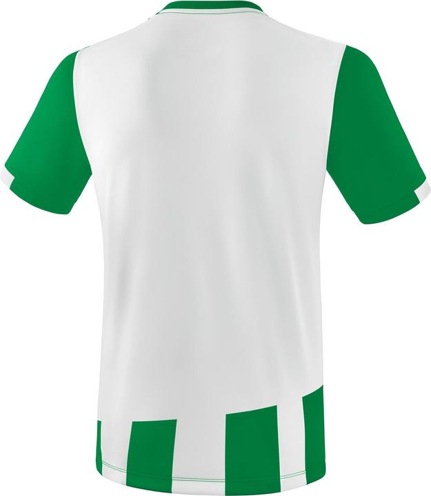 Actual product image Erima Siena 3.0 jersey (M)
