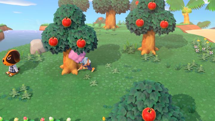 Actual product image Nintendo Animal Crossing: New Horizons (Switch, IT)