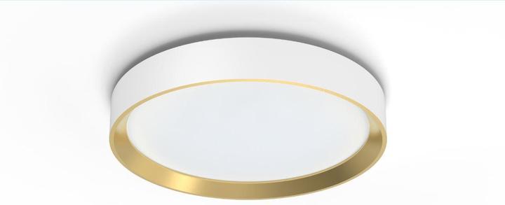 Actual product image Philips Hanno (2700 lm)