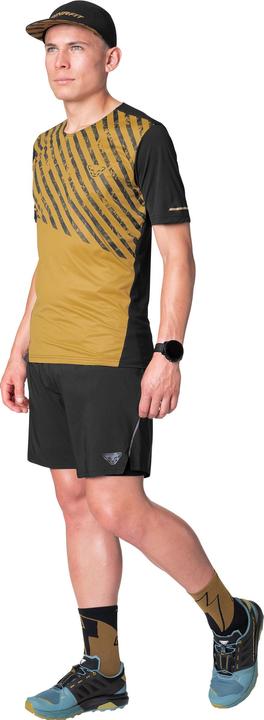 Actual product image Dynafit Alpine Shirt Herren (M)