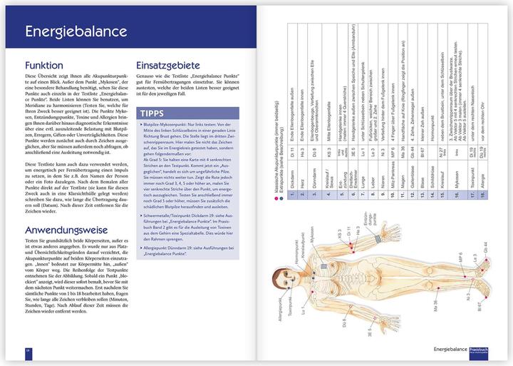 Image du produit Praxisbuch Neue Homöopathie (Allemand, Roswitha Stark, 2022)