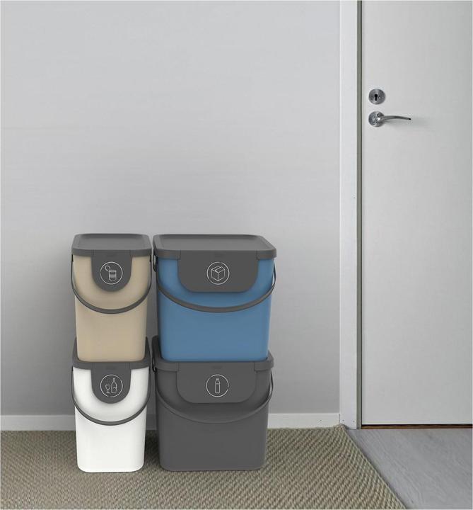 Actual product image Rotho Albula 40 l recycling bin, blue (40 l)
