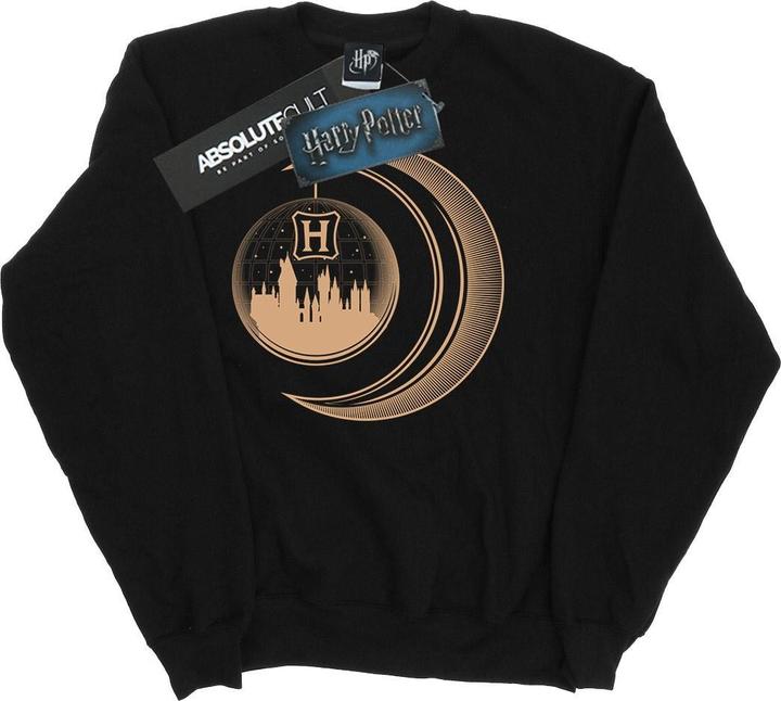 Produktbild Hogwarts Moon Sweatshirt (XL)