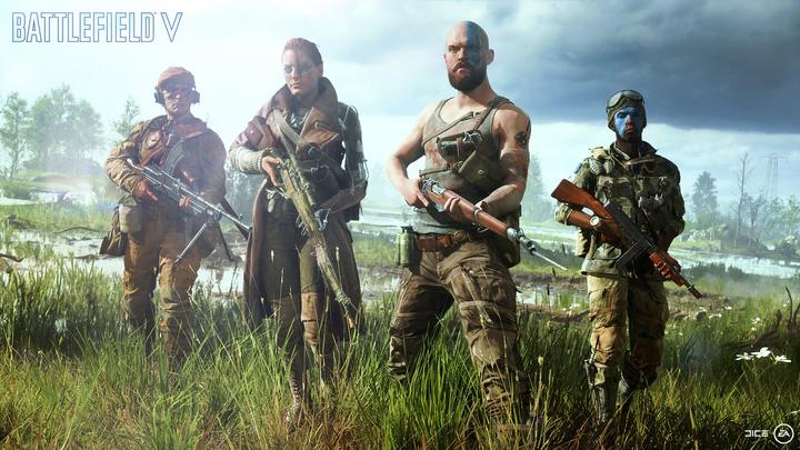 Actual product image EA Games Battlefield V (PC, DE, IT, FR)