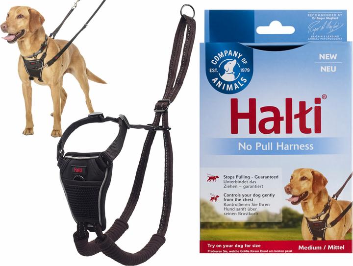 Produktbild Company of Animals Halti No Pull Antizug M Harness (M, Hund, Allgemein)