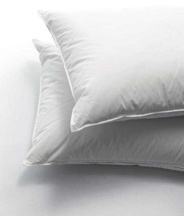Image du produit Dauny Capa Wool (50 x 70 cm)