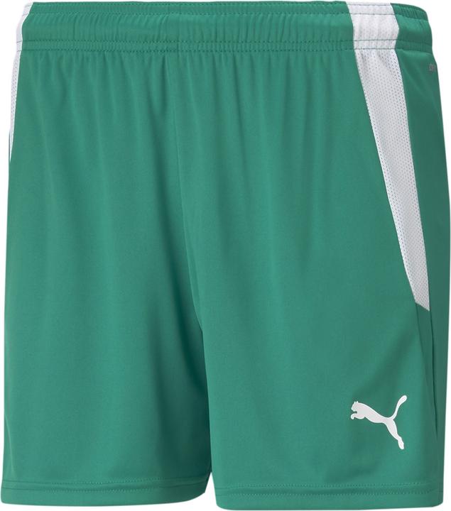 Actual product image Puma teamLIGA Shorts W-704936 (S)