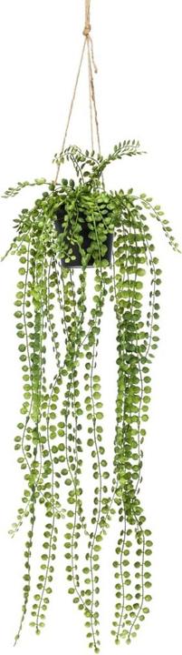 Image du produit Emerald Ora (60 cm)
