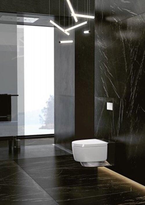 Actual product image Geberit AquaClean Mera