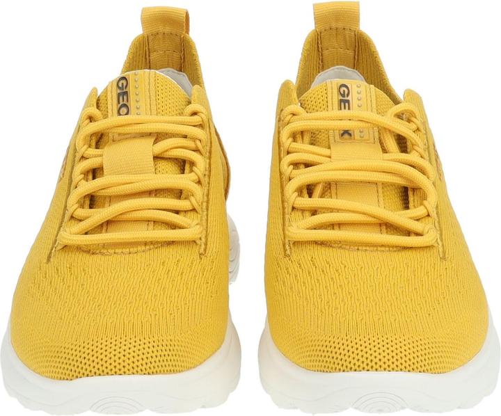 Actual product image Geox Sneaker (40)