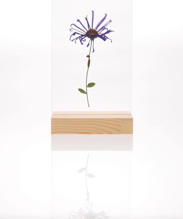Immagine prodotto Rico Design Supporto in legno con doppio disco acrilico, 13 x 18 cm (13 x 18 cm)