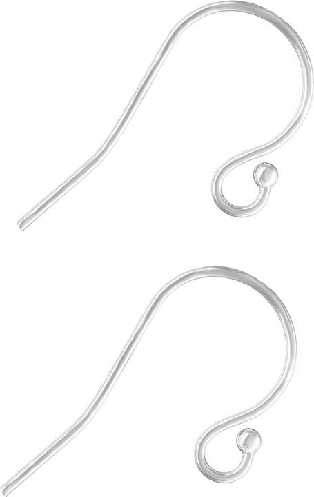 Actual product image Leyda Fishhook Earring Hook