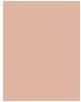 Produktbild Bourjois Always Fabulous 24H (300 Rose Sand)