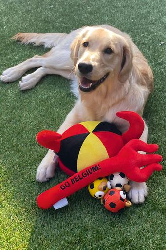 Produktbild Beeztees Bz Fussballpuppe Sort Net 12st (Ballspielzeug Hund)