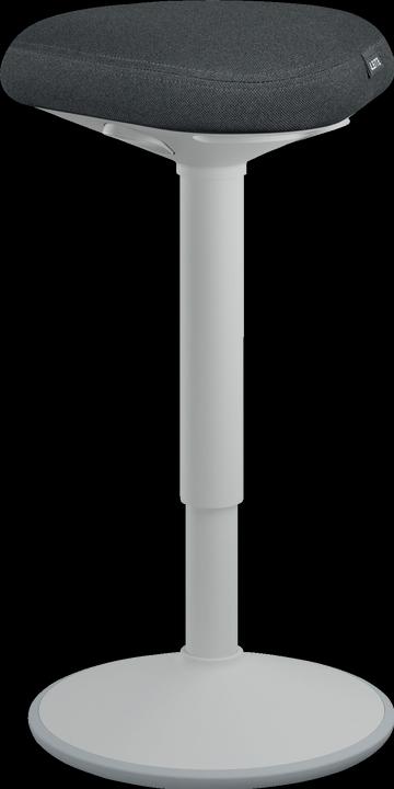 Immagine prodotto Leitz Ergo Active