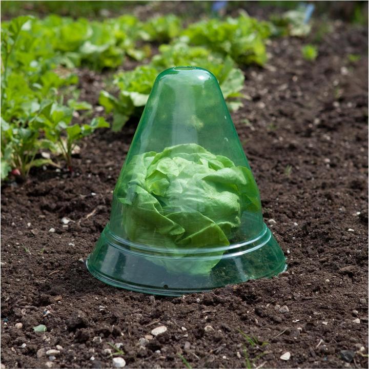 Produktbild Windhager Pflanzenhut