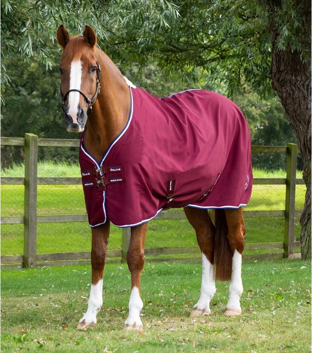 Actual product image Premier Equine Stratus (152 cm)