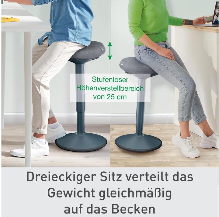 Actual product image Leitz Ergo Active