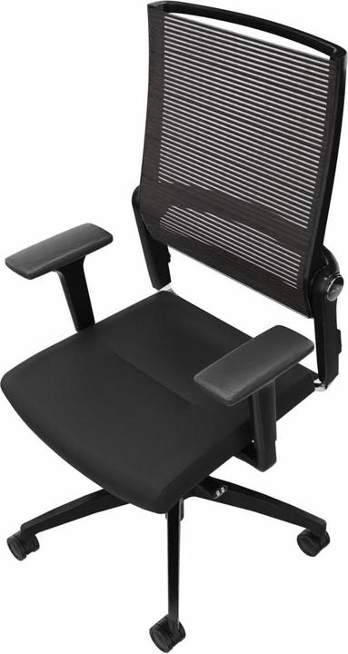 Actual product image Dauphin Office chair Lordo flex with mesh back, black