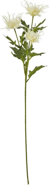 Immagine prodotto Hill Interiors Agrifoglio Marino Spray Fiore Artificiale (67 cm)