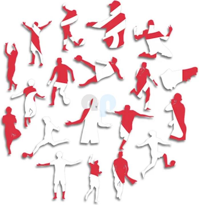 Produktbild Iconic Liverpool FC - Logo Liver Bird - Holz Puzzle Grösse L (500 Teile) (500.27 Teile)