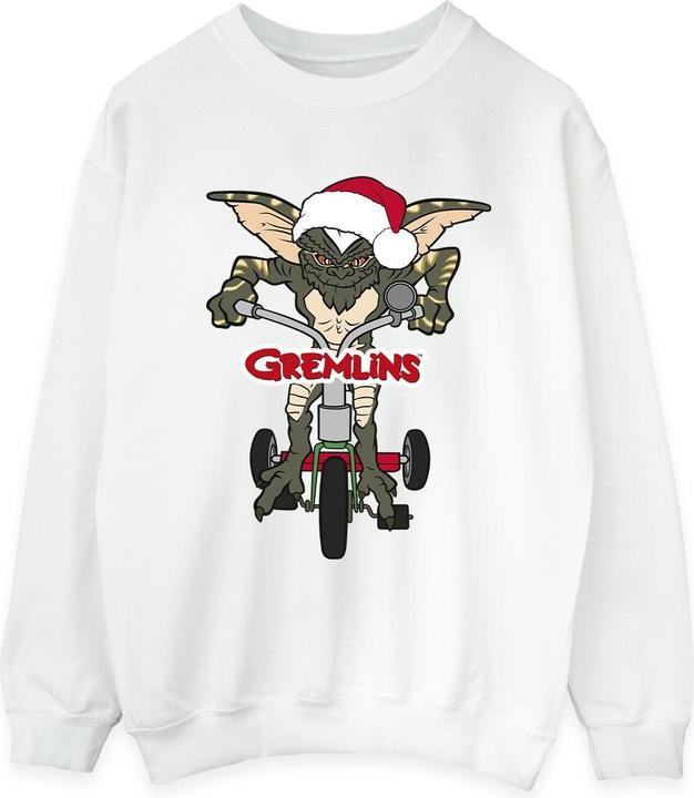 Actual product image Universal Textiles Womens/Ladies Bike Logo Sweatshirt (M)