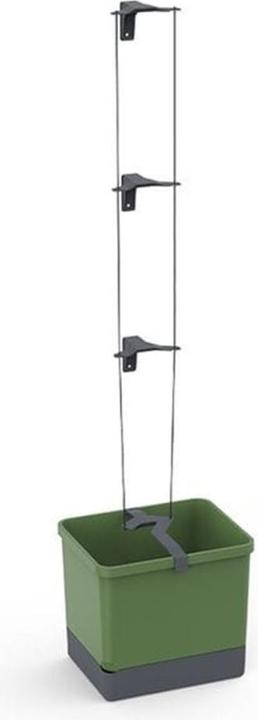 Immagine prodotto Gusta Garden Cetriolo Curt (33.50 cm)