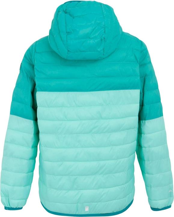 Immagine prodotto Regatta Hillpack III Giacca con Cappuccio Bambini (170, 176)