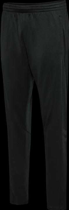 Image du produit hummel Hmlactive Pl Training Pants (L)