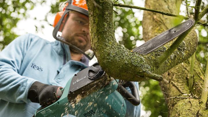 Actual product image Bosch Home & Garden Universal Chain 35 (Electric chain saw)