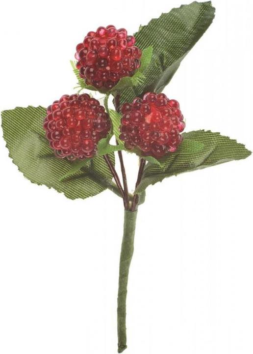 Actual product image Glorex Deco Raspberry, red 15mm