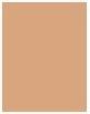 Actual product image Shiseido Sports BB Fluid SPF50+ (Medium Fluid)