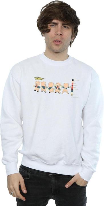 Image du produit Looney Tunes - Sweat PORKY PIG COLOUR CODE - Homme (M)