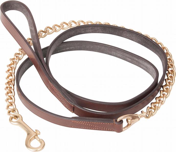 Actual product image TdeT Double chain presentation lanyard (Dog, General)