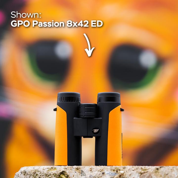 Image du produit GPO Passion 8x32ED Verrekijker Oranje