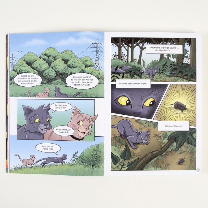 Image du produit Warrior Cats - Graustreifs Weg zurück (Allemand, Erin Hunter, Dan Jolley, 2024)