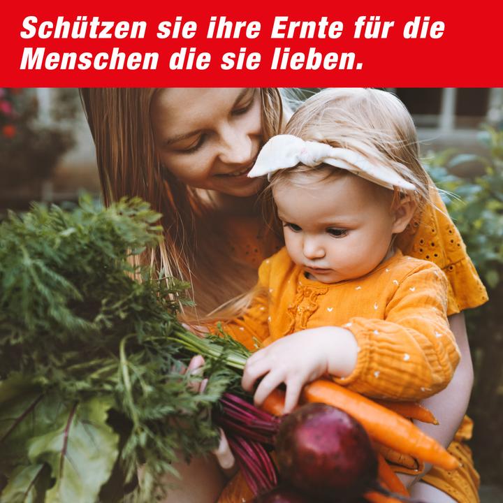 Produktbild Super Cat Wühlmaus-Falle SuperCat 1er