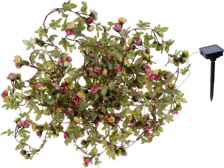 Immagine prodotto Cocon Fiori solari a LED, 10 m (10 m)